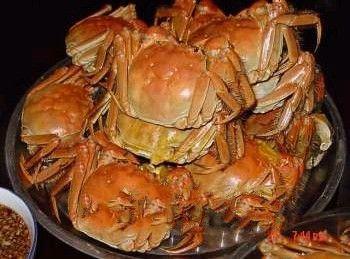 泰安本土菜系排名前十(泰安特色美食前十名)插图8