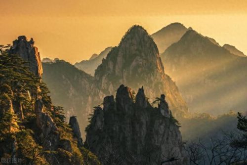 中国十大美景排名前十(中国十大名花)插图2