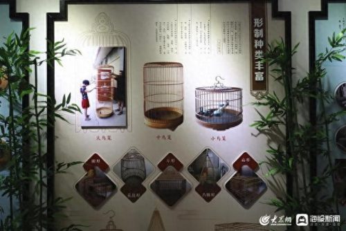 高端鸟笼商家排名前十(鸟笼十大品牌排名)插图16