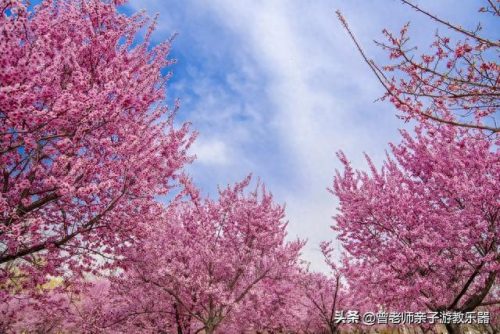 西安小吃景区排名前十(西安小吃甄糕)插图66
