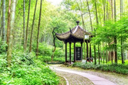 杭州景点排名前十西湖(杭州西湖最吓人的一件事)插图11