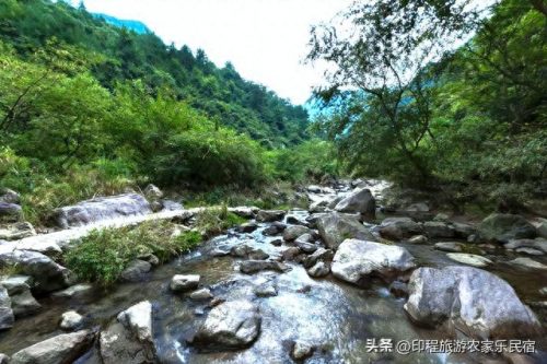 丽水名宿农庄排名前十(兔子名宿丽水)插图31