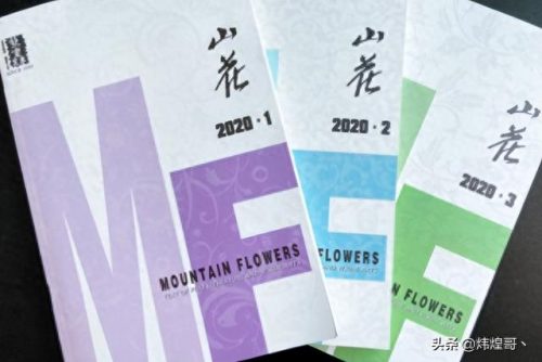中国十大杂志排名前十(中国三大顶级杂志)插图5