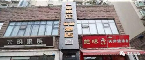 成都仓鼠商家排名前十(养仓鼠的十大危害)插图6