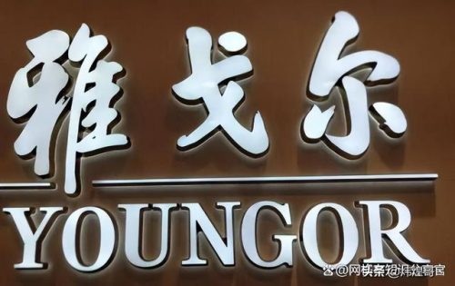 皮具内衣品牌排名前十(时尚内衣品牌有哪些品牌)插图5