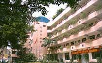 新港街道小学排名前十(新港街道中心小学的老师)插图5