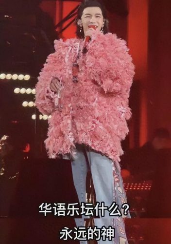 奇葩歌手高音排名前十(唱高音的女歌手)插图8