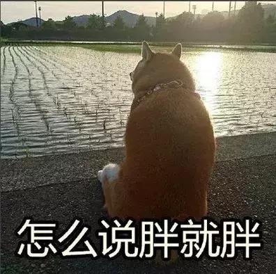 本土玻璃面膜排名前十(玻璃酸面膜能天天用吗)插图18