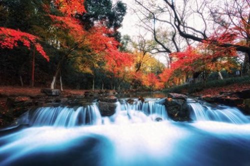 杭州景点排名前十西湖(杭州西湖最吓人的一件事)插图26
