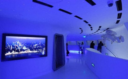 上海溜达景点排名前十(上海景点十大排名榜)插图10