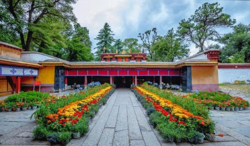 拉萨旅行景点排名前十(什么时候去拉萨旅游最合适)插图52