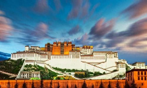 中国十大美景排名前十(中国十大名花)插图9