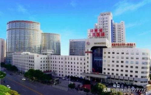 国内医疗团队排名前十(优秀的医疗团队简介)插图8