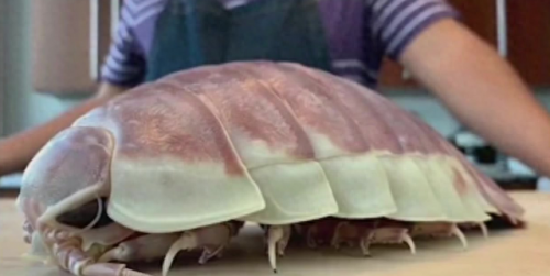 玉山美食海鲜排名前十(玉山小海鲜)插图10