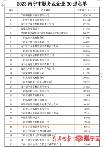 南宁排名前十的企业(南宁大企业)插图4