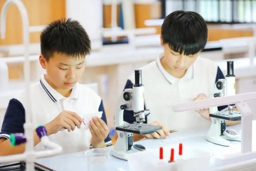 温江历史老师排名前十(温江中学高中部英语老师)插图6