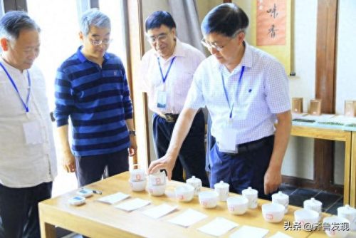 青岛特级茶叶排名前十(崂山茶叶排名前十名)插图13