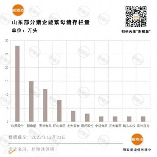 山东养殖公司排名前十(浙江养殖公司排行榜)插图3