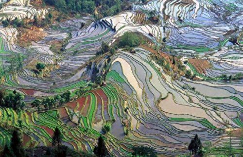 中国国土景观排名前十(油管评论中国国土面积)插图78