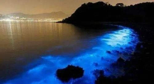 全球沙滩夜景排名前十(中国十大夜景城市)插图6