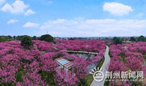 荆州烧烤景点排名前十(荆州公园景点大全)插图1