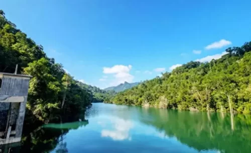 海南洗眼企业排名前十(海南日化企业排名)插图28