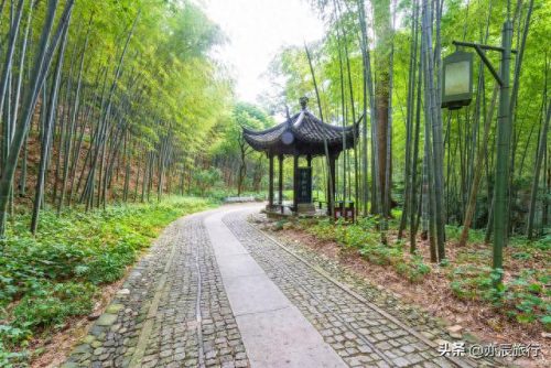 嘉兴周围度假排名前十(嘉兴周边哪里适合度假)插图14