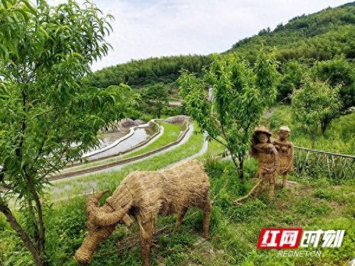 耒阳最好山峰排名前十(耒阳最穷的镇排名)插图2