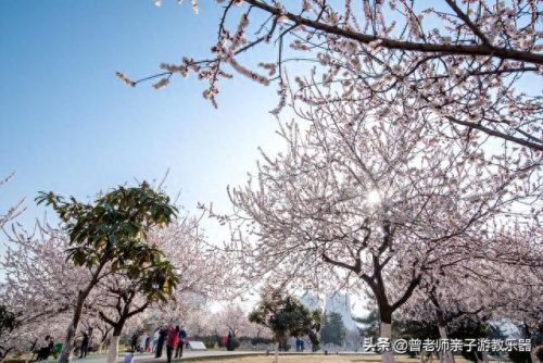 西安小吃景区排名前十(西安小吃甄糕)插图71