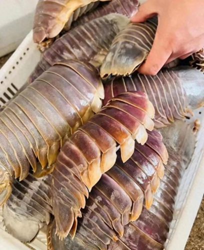 玉山美食海鲜排名前十(玉山小海鲜)插图7