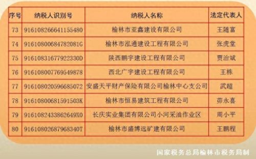 榆林企业税收排名前十(咸宁企业纳税排行)插图6