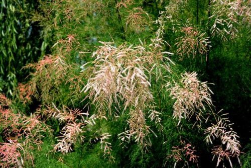 临沂冷门景点排名前十(临沂必去的十大景区)插图60
