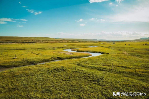 新疆各地草场排名前十(新疆草场政府每年都会给多少钱)插图16