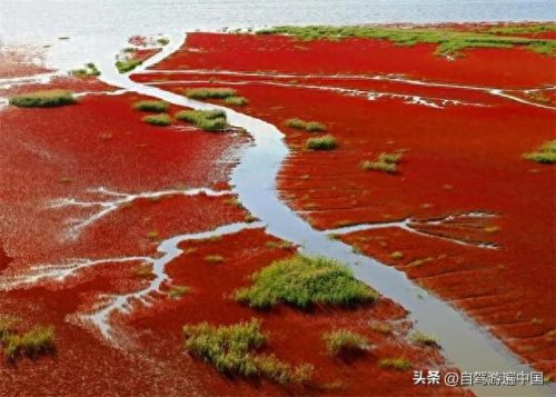 辽宁十大景区排名前十(辽宁最大的寺庙)插图8