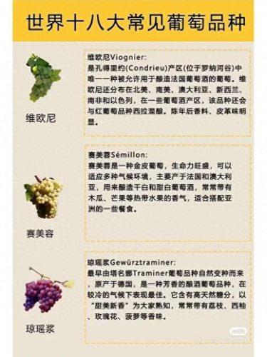 国外葡萄品种排名前十(各国葡萄品种对比)插图4