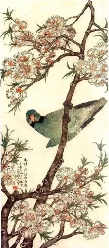 鹦鹉荔枝品种排名前十(最聪明的鹦鹉排名)插图1