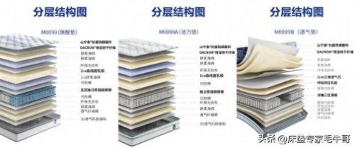 实惠平价床垫排名前十(萨普莎床垫全国排名)插图16