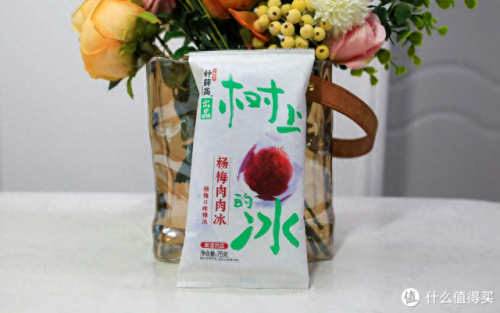 葡萄雪糕品牌排名前十(雪糕品牌top10)插图8