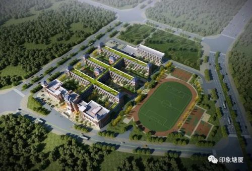 东莞外贸小学排名前十(大朗公办小学排名)插图10