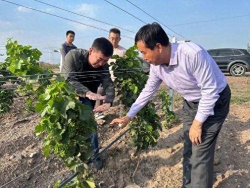 新疆红酒厂排名前十(新疆十强国企排名)插图5