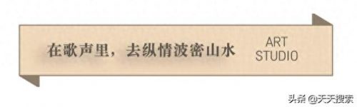 波密民间歌手排名前十(街头歌手十大排名)插图3