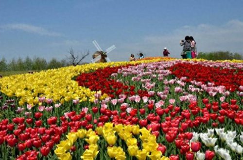 顺义周边景点排名前十(顺义网红打卡地景点)插图3