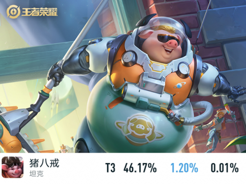冷门英雄玩家排名前十(王者荣耀冷门英雄)插图