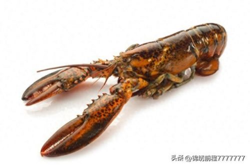 海洋好吃物种排名前十(海洋十大萌物排名)插图5