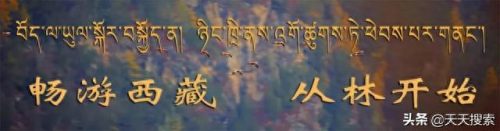 波密民间歌手排名前十(街头歌手十大排名)插图