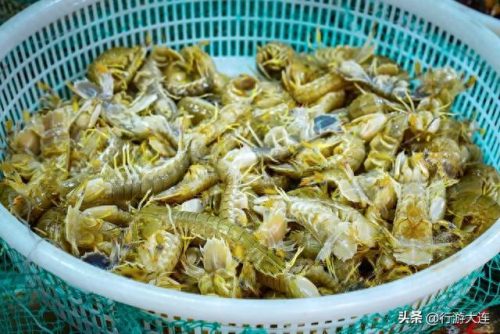 大连海鲜卖场排名前十(大连海鲜受日本辐射影响吗)插图22