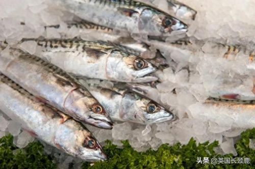 伦敦海鲜网店排名前十(英国海鲜市场排名)插图47