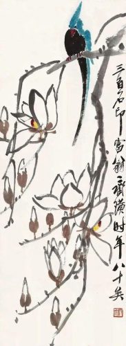 鹦鹉荔枝品种排名前十(最聪明的鹦鹉排名)插图10
