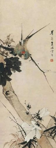 鹦鹉荔枝品种排名前十(最聪明的鹦鹉排名)插图2
