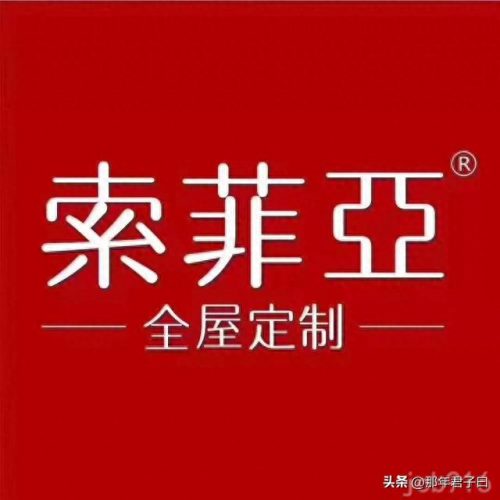 订制整体家居排名前十(晟丰整体定制家居)插图1